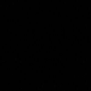 Meet your Posher, Joaquin